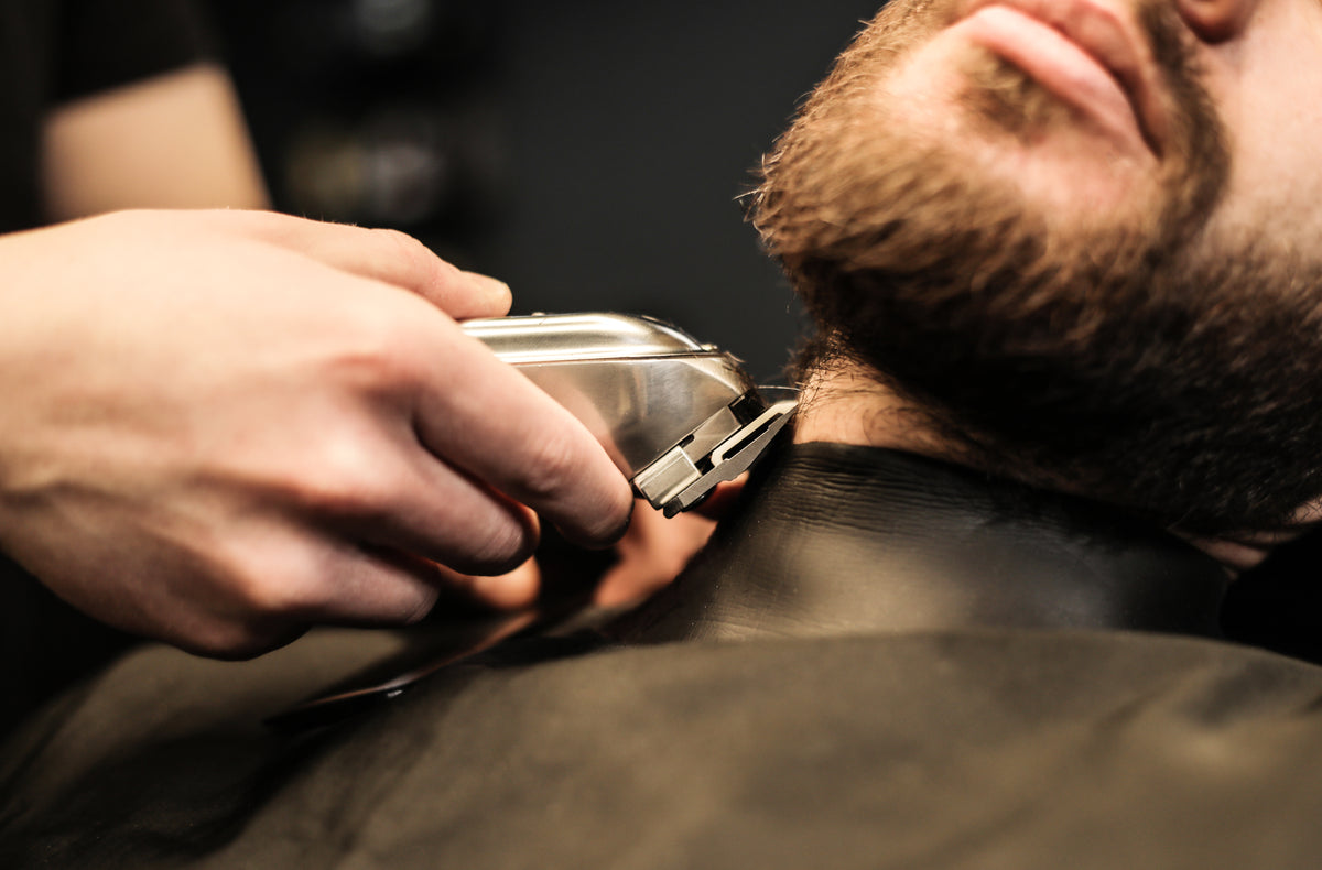 REGOLA BARBA E CAPELLI
